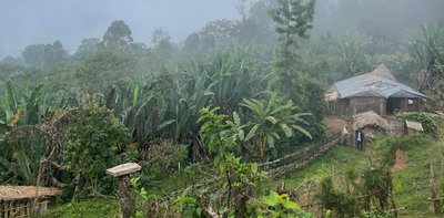 Ethiopia’s national parks are working for wildlife – but not always for the people living near them