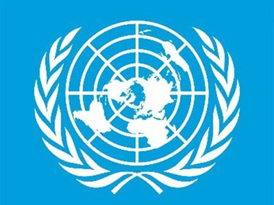 Critical energy minerals should become engine for sustainable development: India at UN