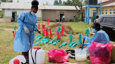 Ebola cases in DRC may be four times official tally, says WHO