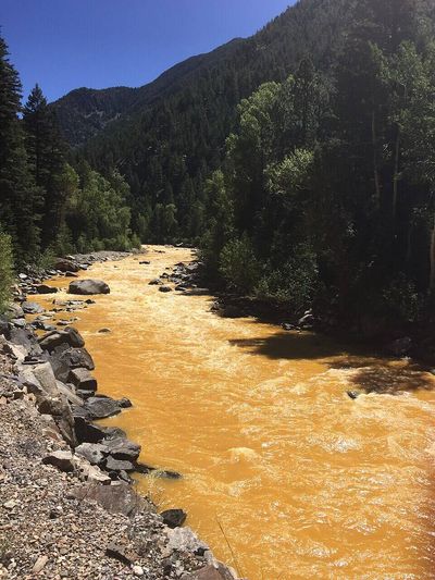 In 2015, a mine spill sent 3 million gallons of orange acidic wastewater into the San Juan River, and Diné farmers who grew ceremonial corn dropped from 13 to one