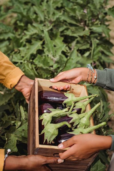 Vegetable Farm Prices Are Up Sharply: Will Produce Aisles Get More Expensive?