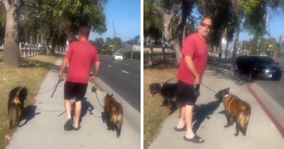 Cyclist Karen Tries To Shame Man Just For Walking His Dogs On The Sidewalk, But It Epically Backfires