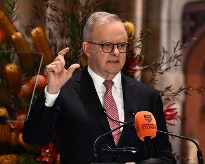 Albanese’s AI plan is admirable – but will face tech giants more powerful than most national governments