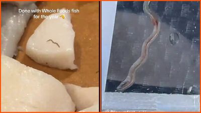 Philadelphia woman allegedly spots worm in Whole Foods sea bass and skips dinner. Then she goes back, buys more fish, and finds another one.
