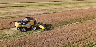 Canadian farms must keep growing to survive — and farmers and the environment are paying for it