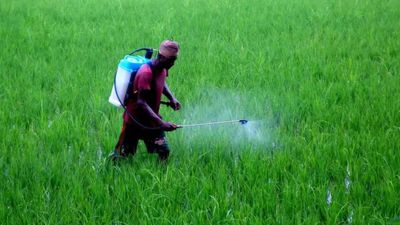 Government proposes complete ban on paraquat dichloride, cites health risks to humans, animals
