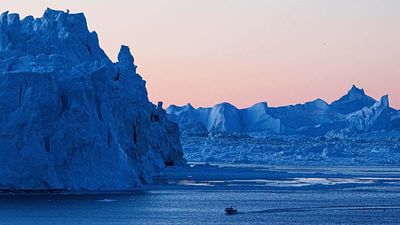 Greenland research centre halts new collaborations with US to protect its scientists