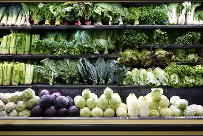 Everything I’ve eaten as a paranoid vegetarian to avoid the explosive diarrhea parasite sweeping the US
