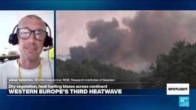 Following years of wildfires, Europe must 'diversify' landscapes and strengthen land management