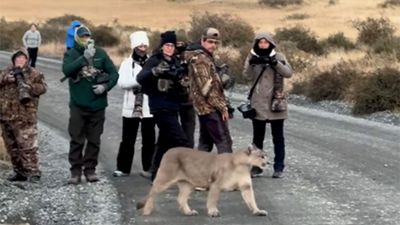 These wildlife photographers broke the rules, and letting them off sets a dangerous precedent for animal welfare – but do you agree?