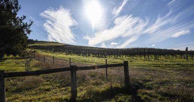 Push to build new green waste site on a former vineyard sparks concern