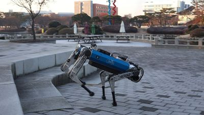 Robot dog can climb stairs, navigate a forest and bound over logs thanks to new, rapid AI training technique