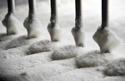 New Research Shows That Where Your Sugar Comes From May Matter More Than How Much You Eat