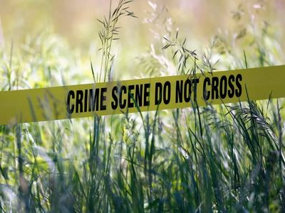 Indian-origin mall worker in US fights for life after hate-fueled stabbing