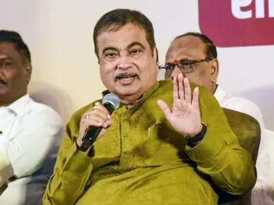 Want Pure Petrol? Gadkari Says It Will Cost More