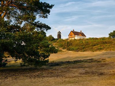 Country diary: From the beech trees of home to the hot Surrey Hills