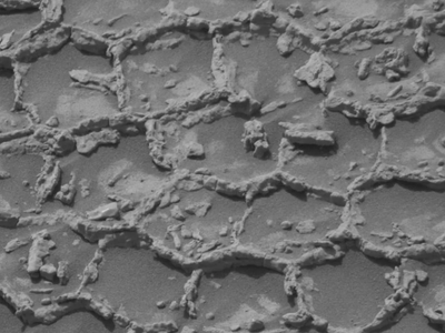 NASA's Curiosity rover uncovers unusual honeycomb-like pattern on Mars. What does it mean?