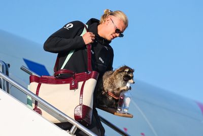 Erling Haaland's Luxury Bag and Viral Raccoon Put Bag Trends 2026 in the Men's Fashion Spotlight