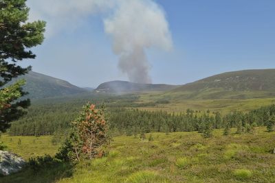 Locals told to ‘leave your pets and go’ as fire rips through Cairngorms
