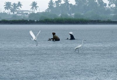 Lack of rains, low water levels in dams resulting in power cuts in Kerala: Electricity Minister