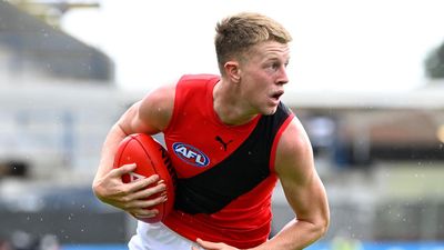 Essendon slapped with $20,000 fine for umpire contact