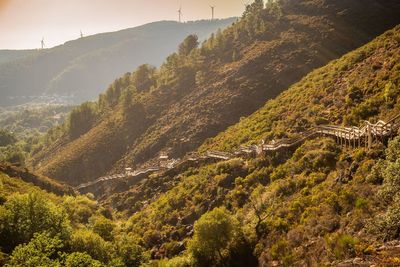 A major £10m theme park with ziplines and treetop courses could open in Portugal