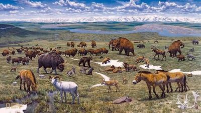 This experiment is reviving a 10,000-year-old Ice Age ecosystem to save the Arctic