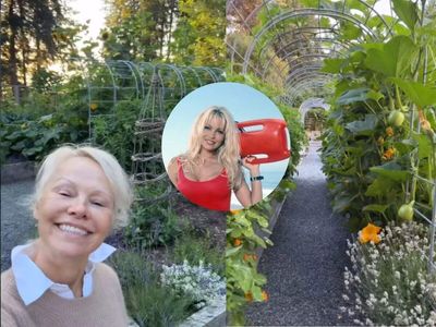 Pamela Anderson, once famous for Baywatch series, is now busy growing tomatoes and cucumbers in Canada