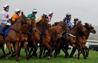 Cheltenham festival crackdown aimed at stalling significant rise in false starts