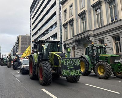 Revealed: how Europe’s most powerful farming lobby killed EU’s pesticide law