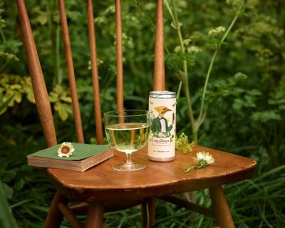 Tins ain’t what they used to be: canned wine is no longer the preserve of Gen Z