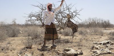 Africa’s Greater Horn region is facing a looming polycrisis fueled by conflict, prices, climate and disease