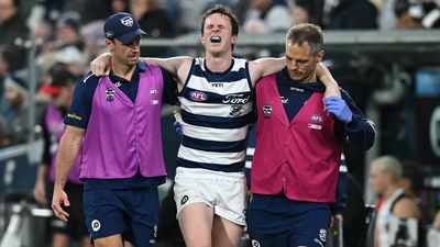 Injury fears for Cats star after strong win over Saints