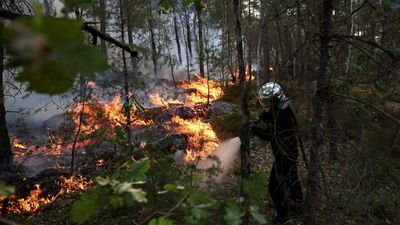 Macron toughens stance on arson, with dozens arrested as wildfires sweep France