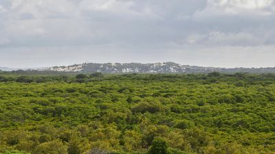 Greenpeace Africa demands halt to $17bn Kenya coastal oil refinery