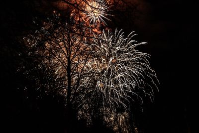 Noisy fireworks face potential ban under new government plans