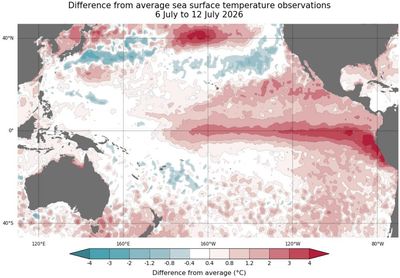 ‘We are waiting with bated breath’: experts alarmed as BoM says gathering El Niño could be strongest on record