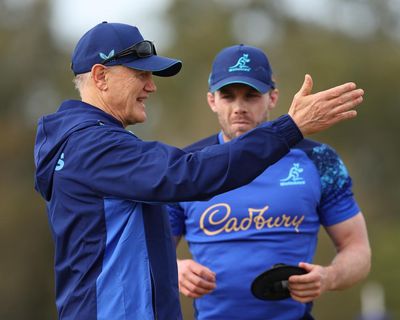 Joe Schmidt era staggers to a close as shellshocked Wallabies face Italy
