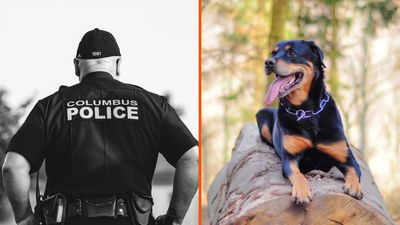 Columbus police responds to a domestic incident. Then the presence of a dog allegedly leads to one police officer shooting another