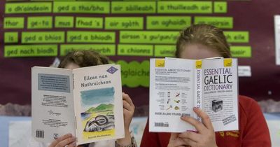 Expert on how Gaelic careers advice must improve in Scotland