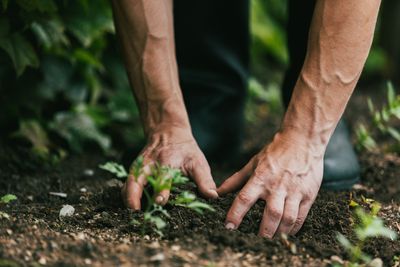 How to Tell If You’re Watering Deeply Enough