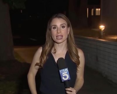 Cool, calm and creepy-crawly: reporter unfazed by cockroach cameo on live TV