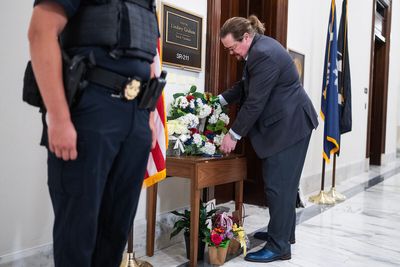 The dog days are here already for Congress