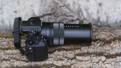 The Sony RX10 V is a fantastic camera – but this mirrorless combo costs less, weighs nearly the same, and reaches almost as far