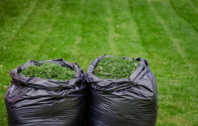Why Grass Clippings Can Carry Herbicide Into Vegetable Beds
