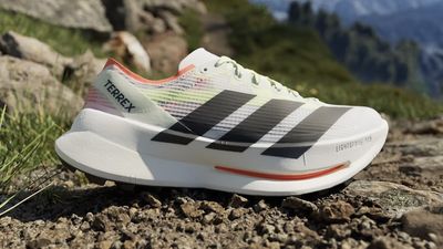 Adidas just made its premium trail running shoe cheaper and a lot more versatile