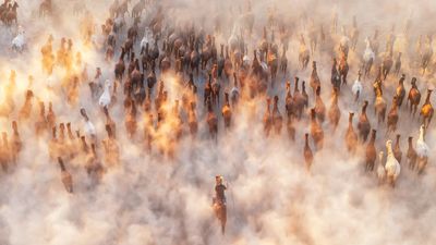 I talked s*** about drone photography, but this breathtaking award-winning aerial composition has converted me