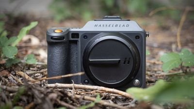 One of the most requested features has now been granted: Medium format photographers can now edit on Android with this key Hasselblad update