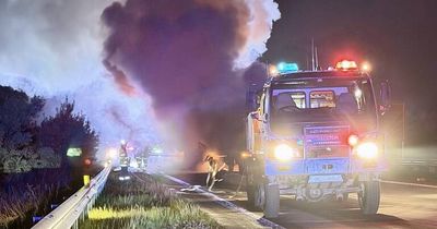 Road train driver dies after two truck crash on Hume Highway