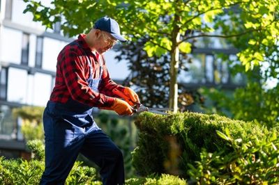 Could Your Landscaping Raise Your Insurance Risk? What Homeowners Miss